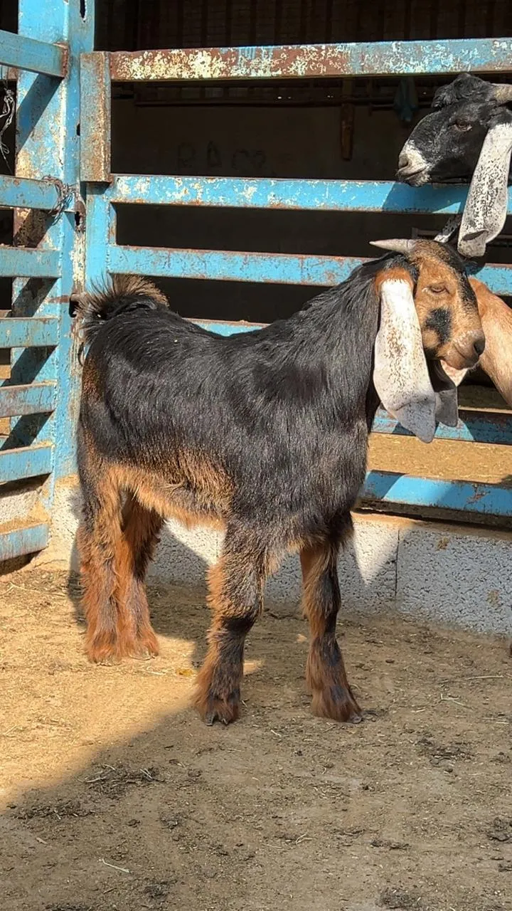 707d58e52e3ef2882c5e677c44aa275c1f1dfdc1_result